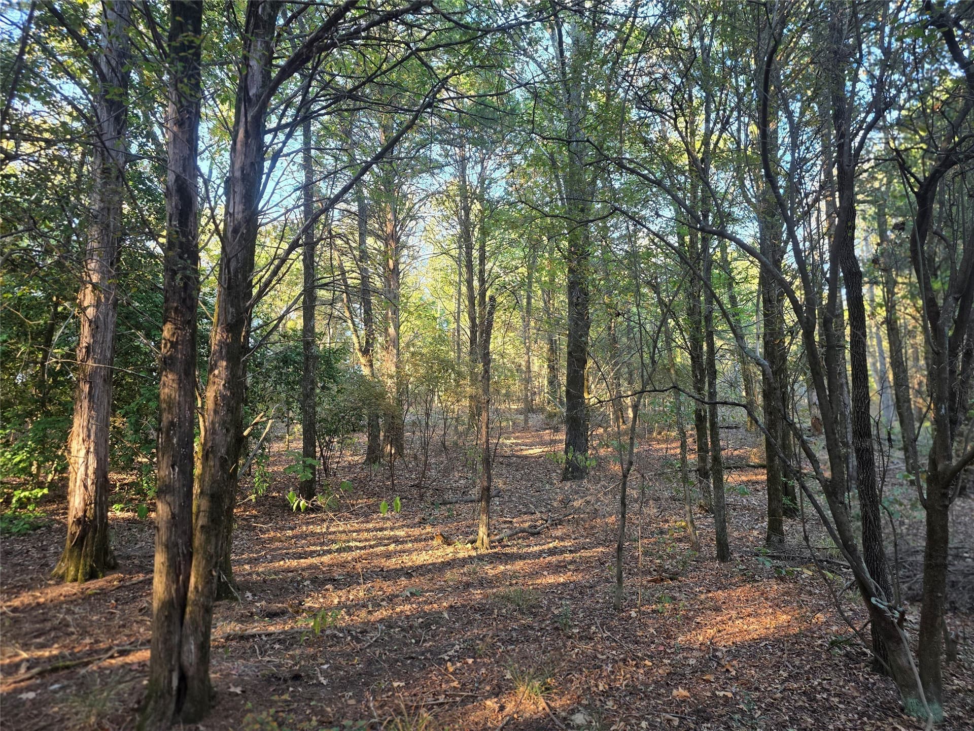 5.17 acres in Henderson County - photo 39