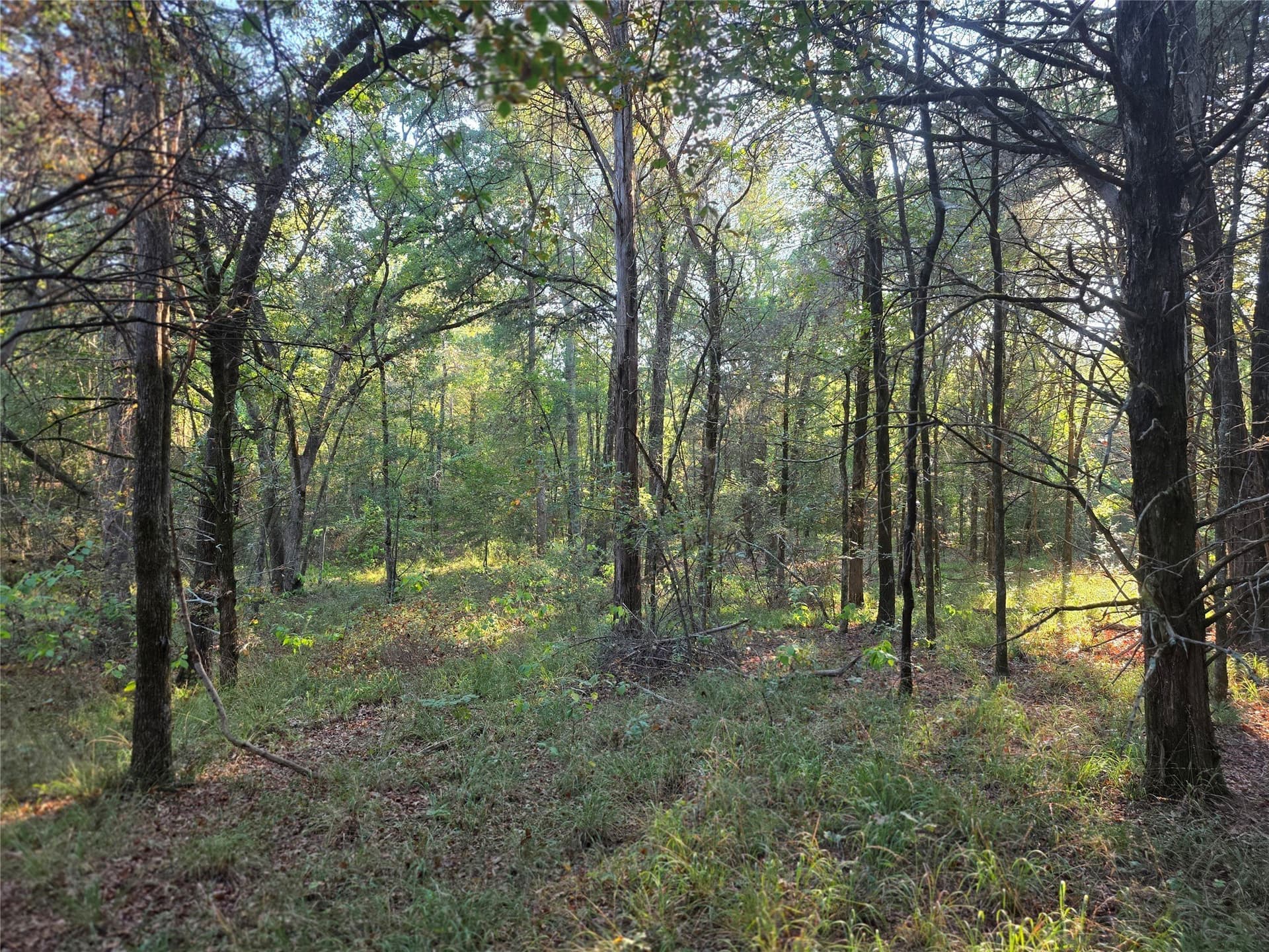 5.17 acres in Henderson County - photo 28