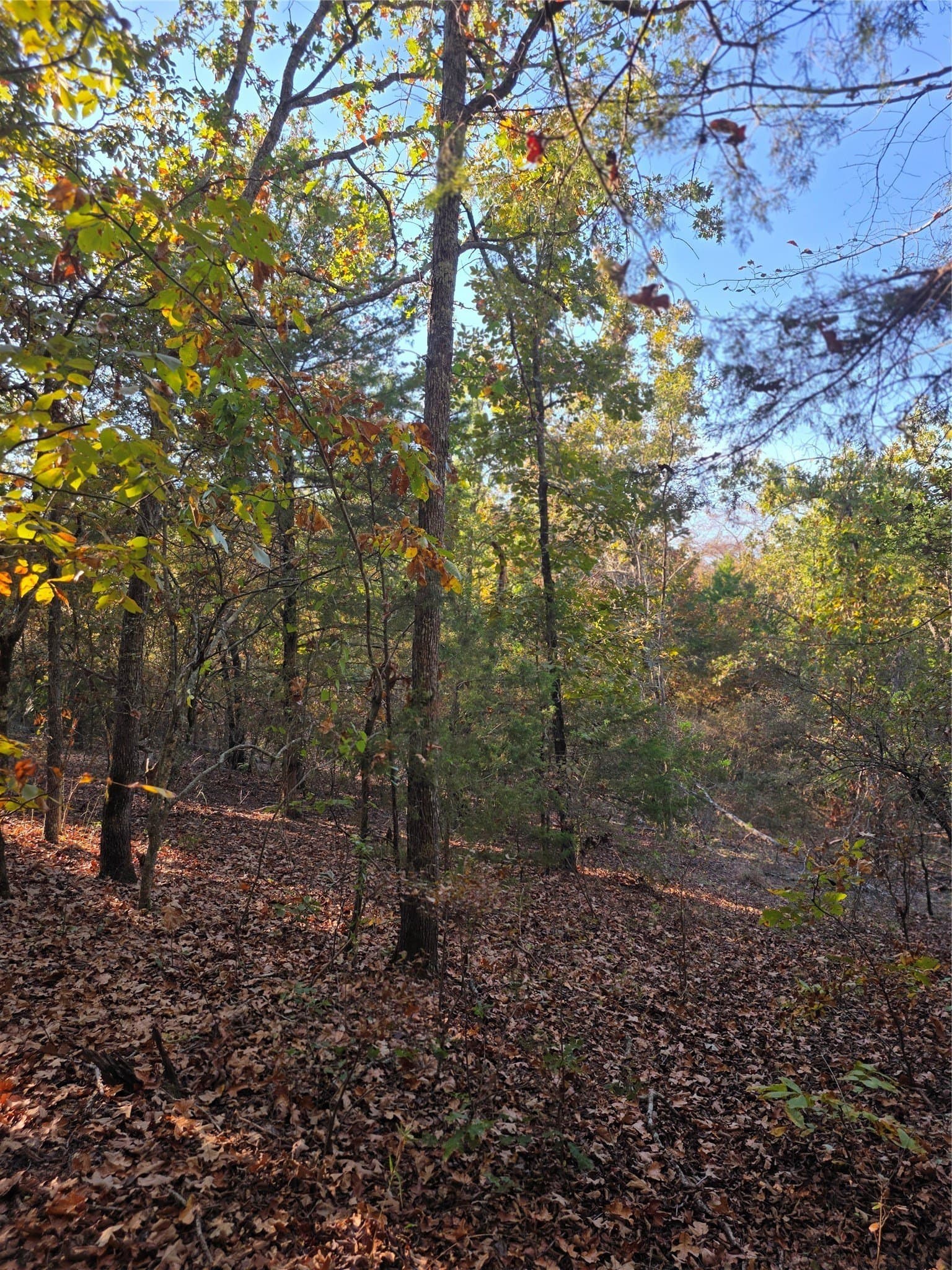 5.17 acres in Henderson County - photo 16