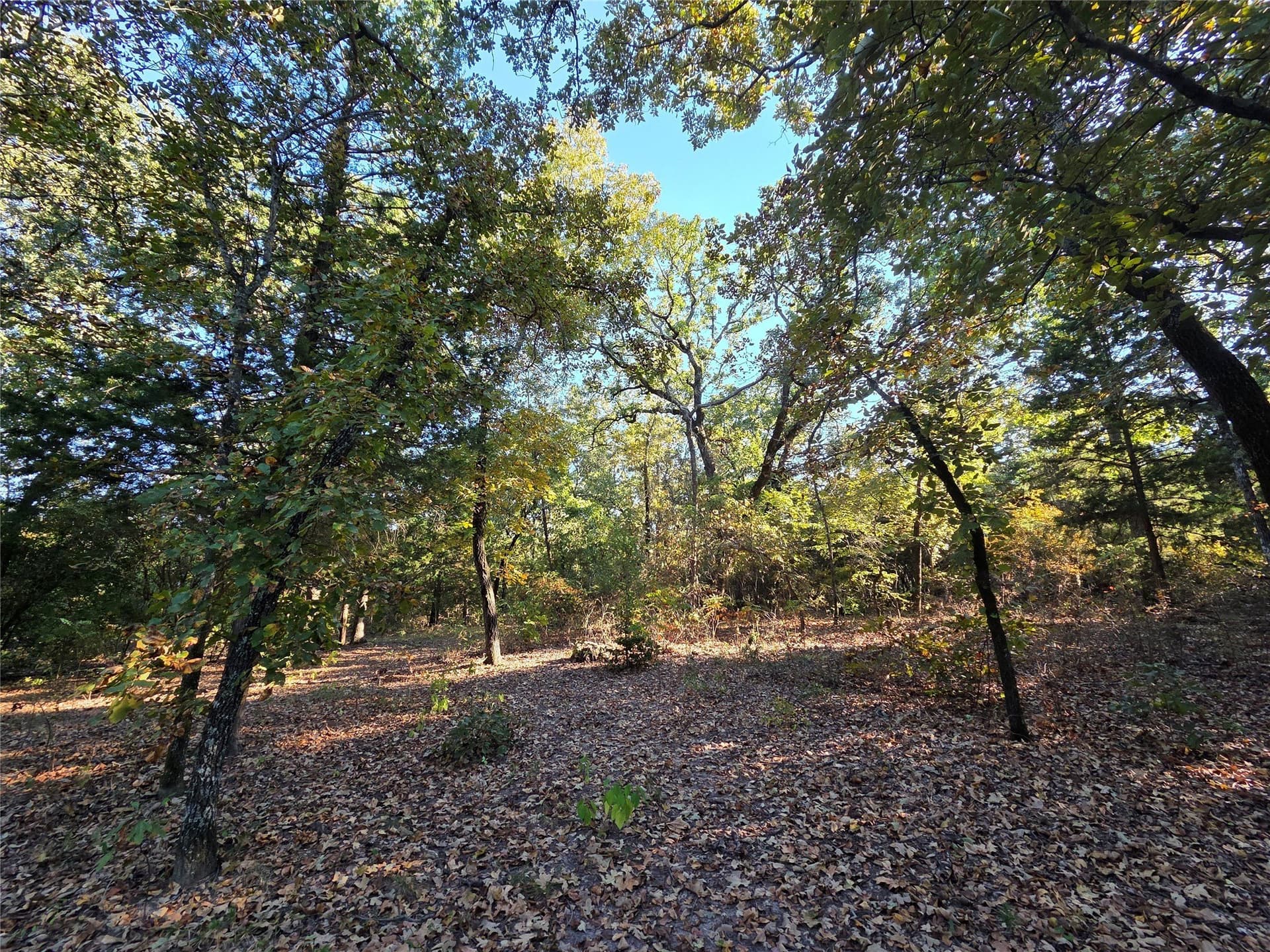 5.17 acres in Henderson County - photo 7