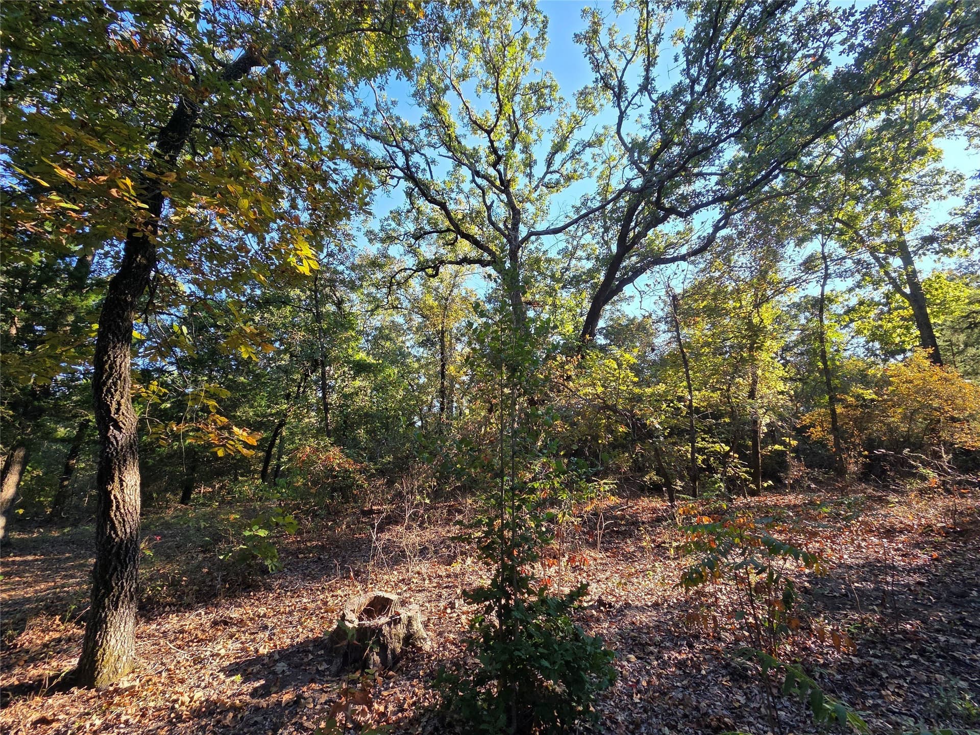 5.17 acres in Henderson County - photo 6