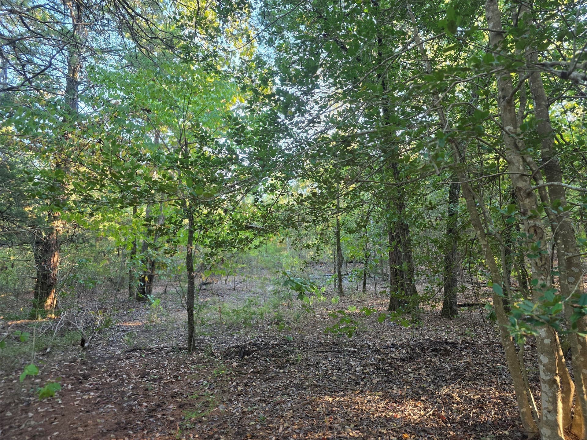 5.17 acres in Henderson County - photo 21