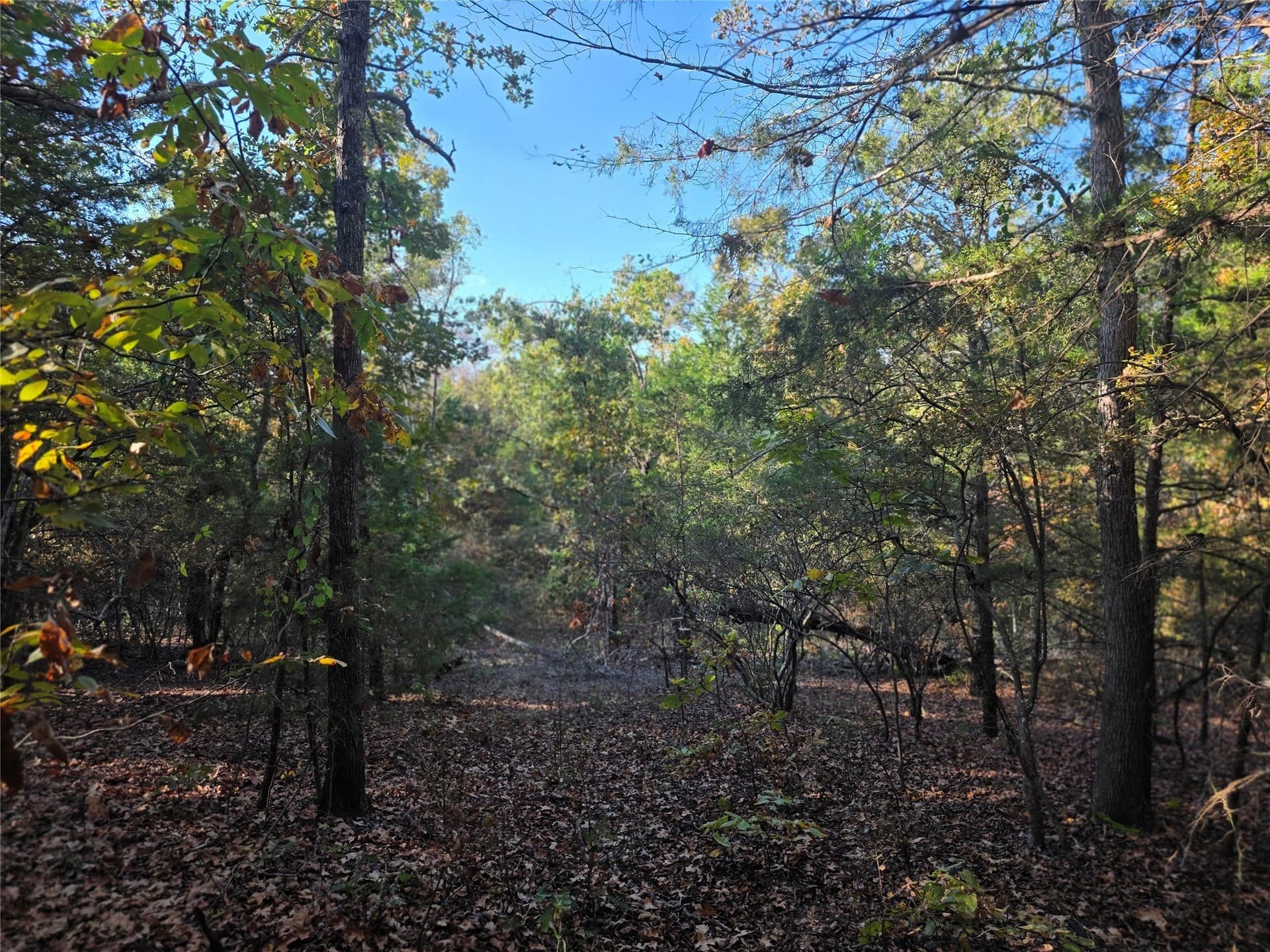 5.17 acres in Henderson County - photo 15