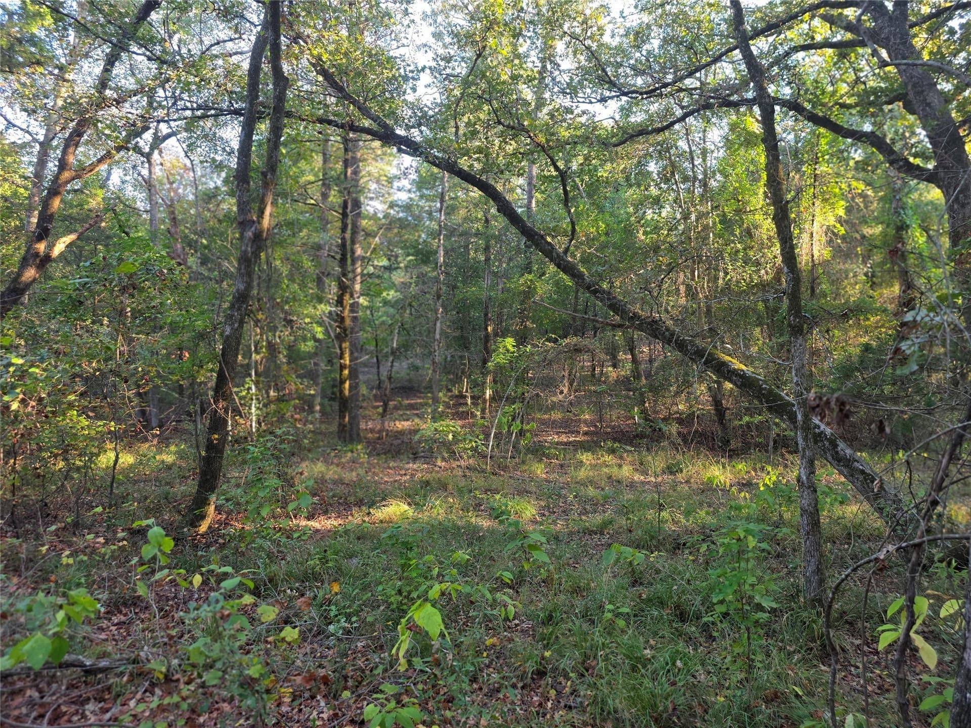 5.17 acres in Henderson County - photo 24