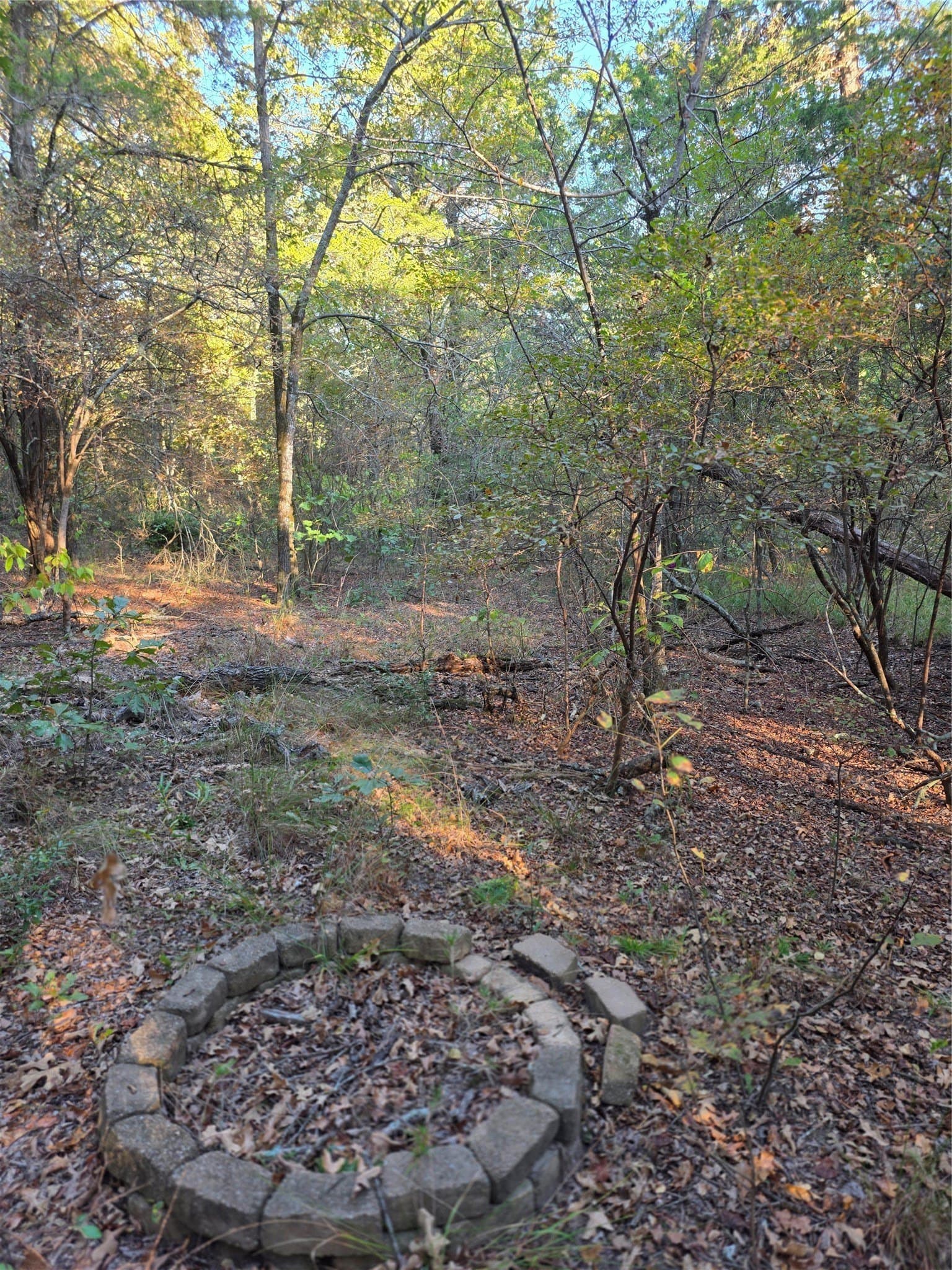 5.17 acres in Henderson County - photo 27