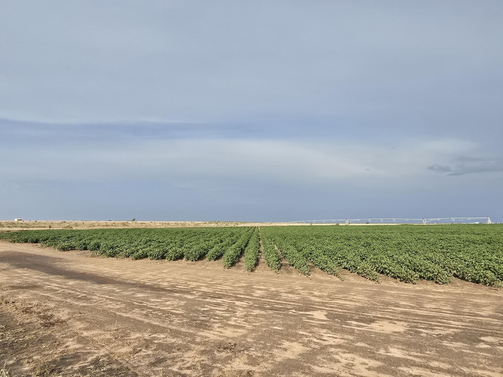 31.2 acres in Gaines County - photo 7