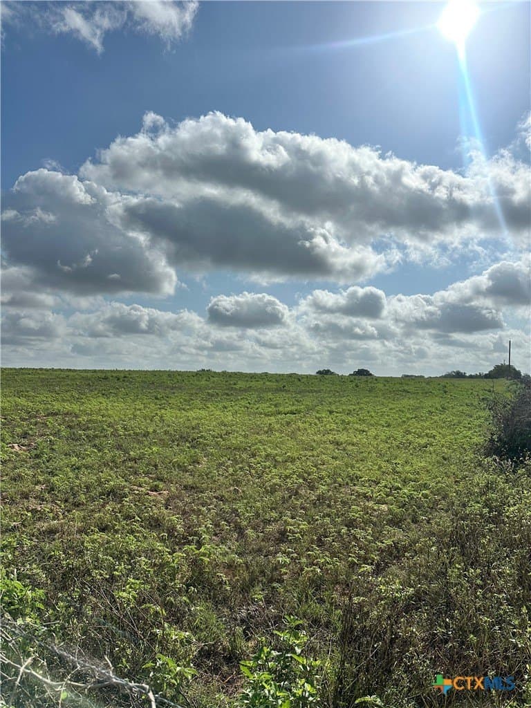 20.12 acres in Lavaca County gallery image 4