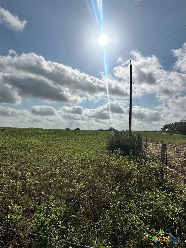 20.12 acres in Lavaca County gallery image 3