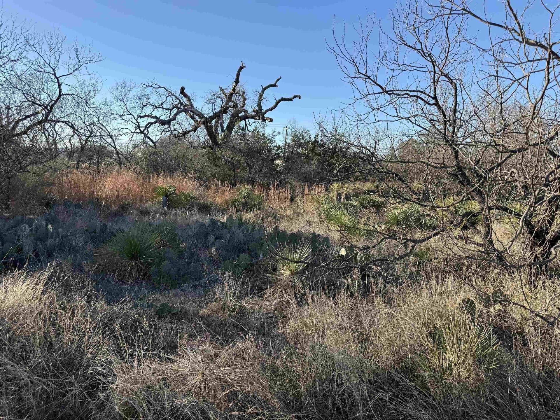11.5 acres in Llano County featured view