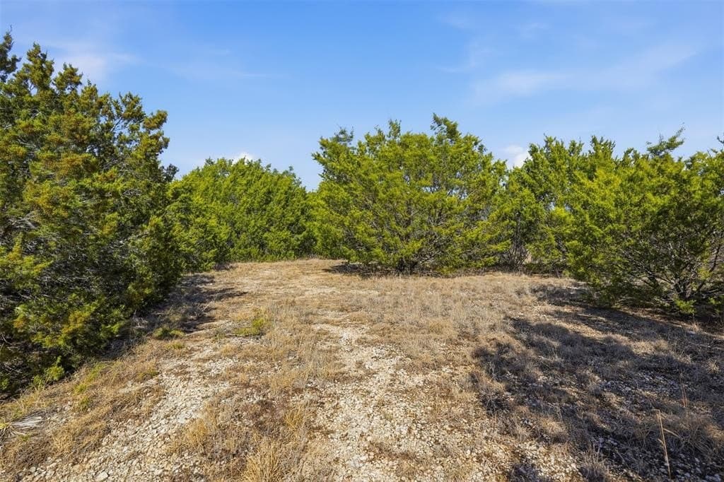 2.01 acres in Hood County gallery image 3