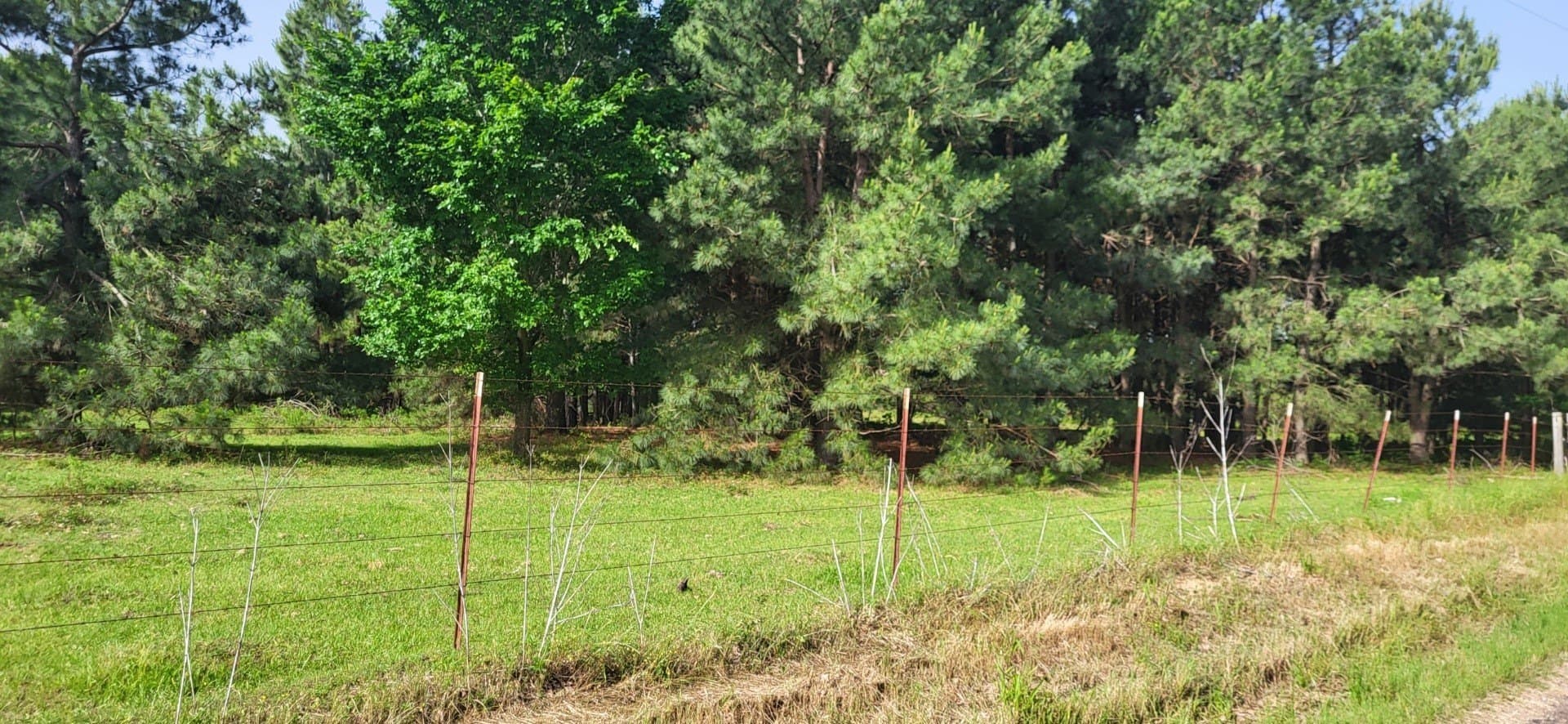 15 acres in Hopkins County - photo 5