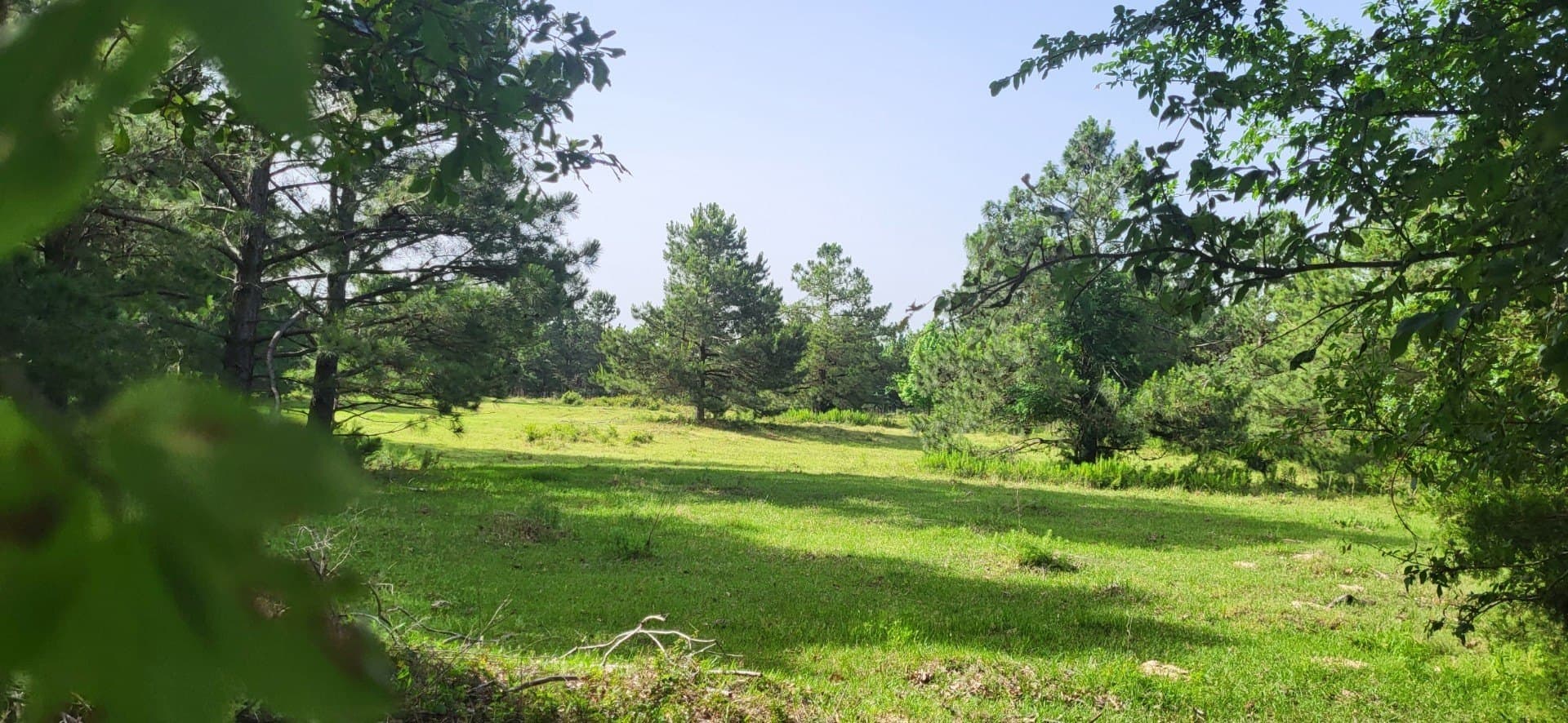 15 acres in Hopkins County - photo 2