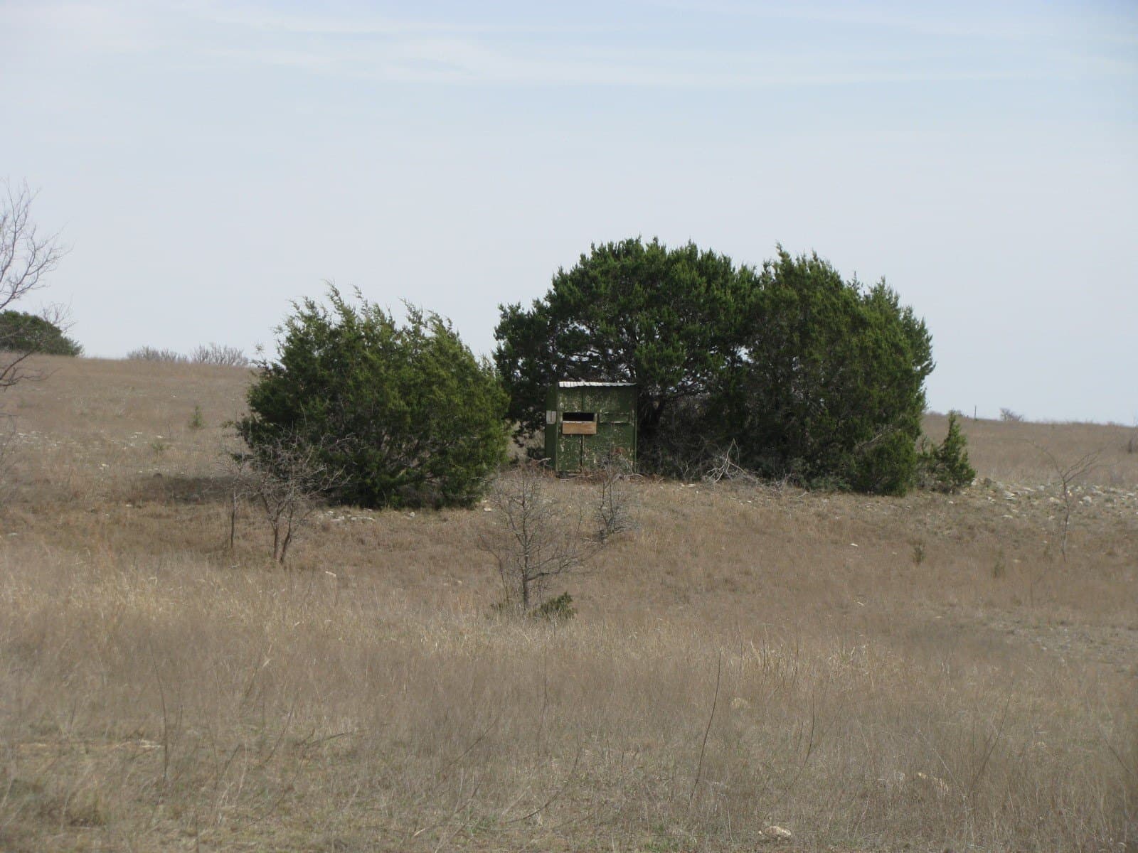 110 acres in Coryell County - photo 14