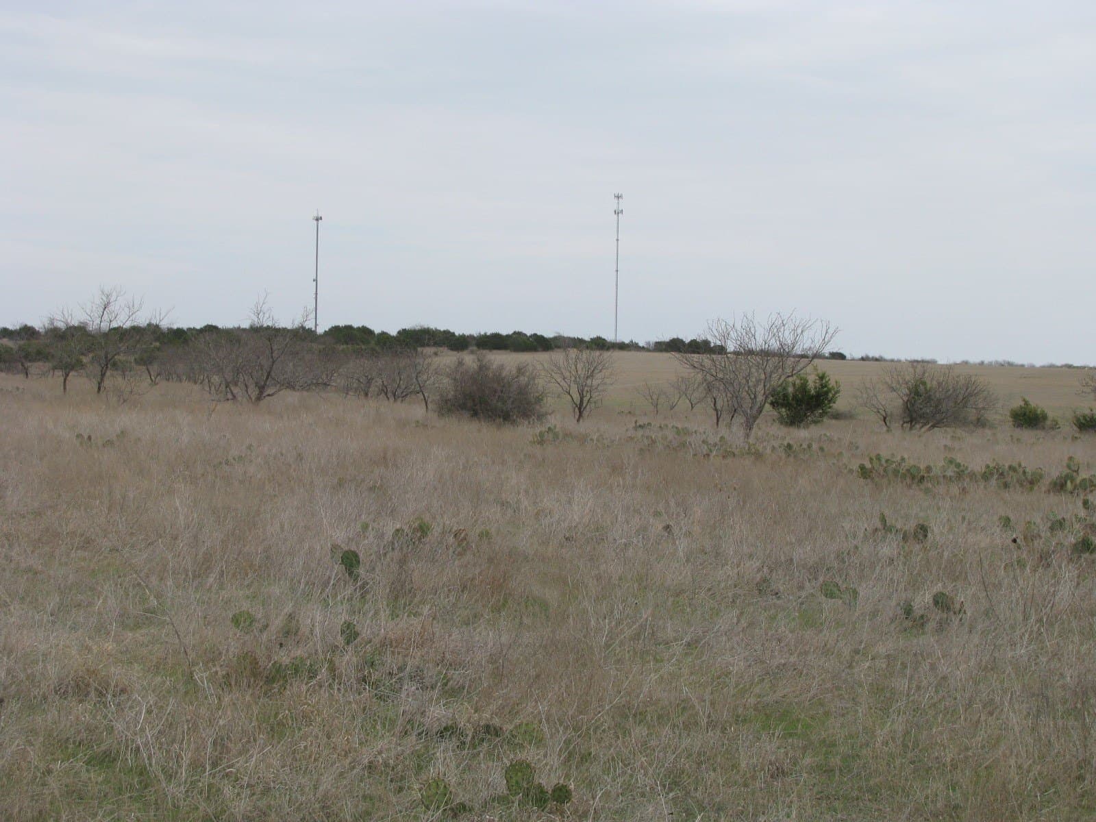 110 acres in Coryell County - photo 24