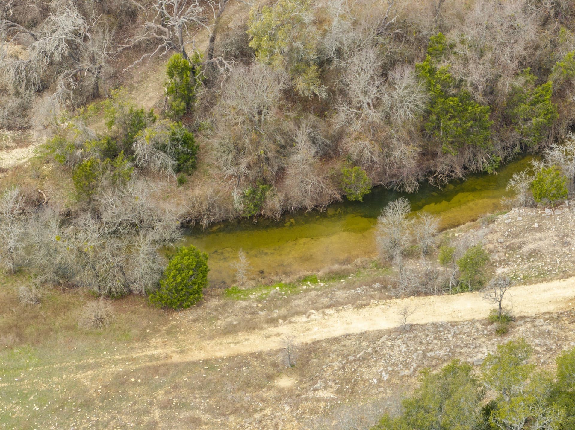 110 acres in Coryell County - photo 2
