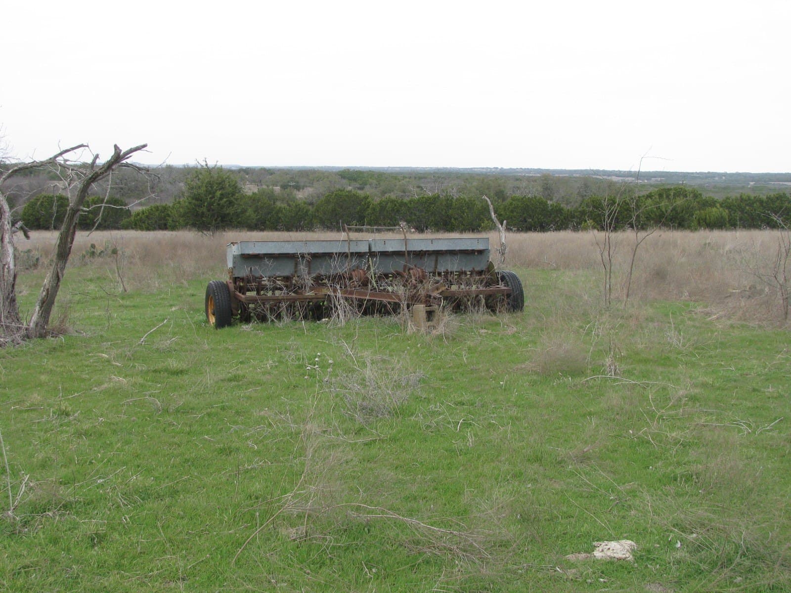 110 acres in Coryell County - photo 18