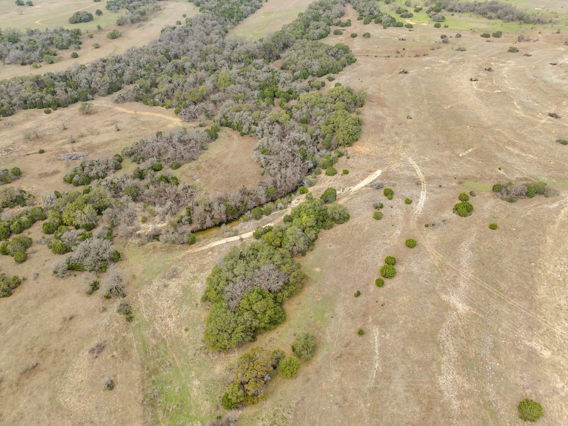 110 acres in Coryell County - photo 21