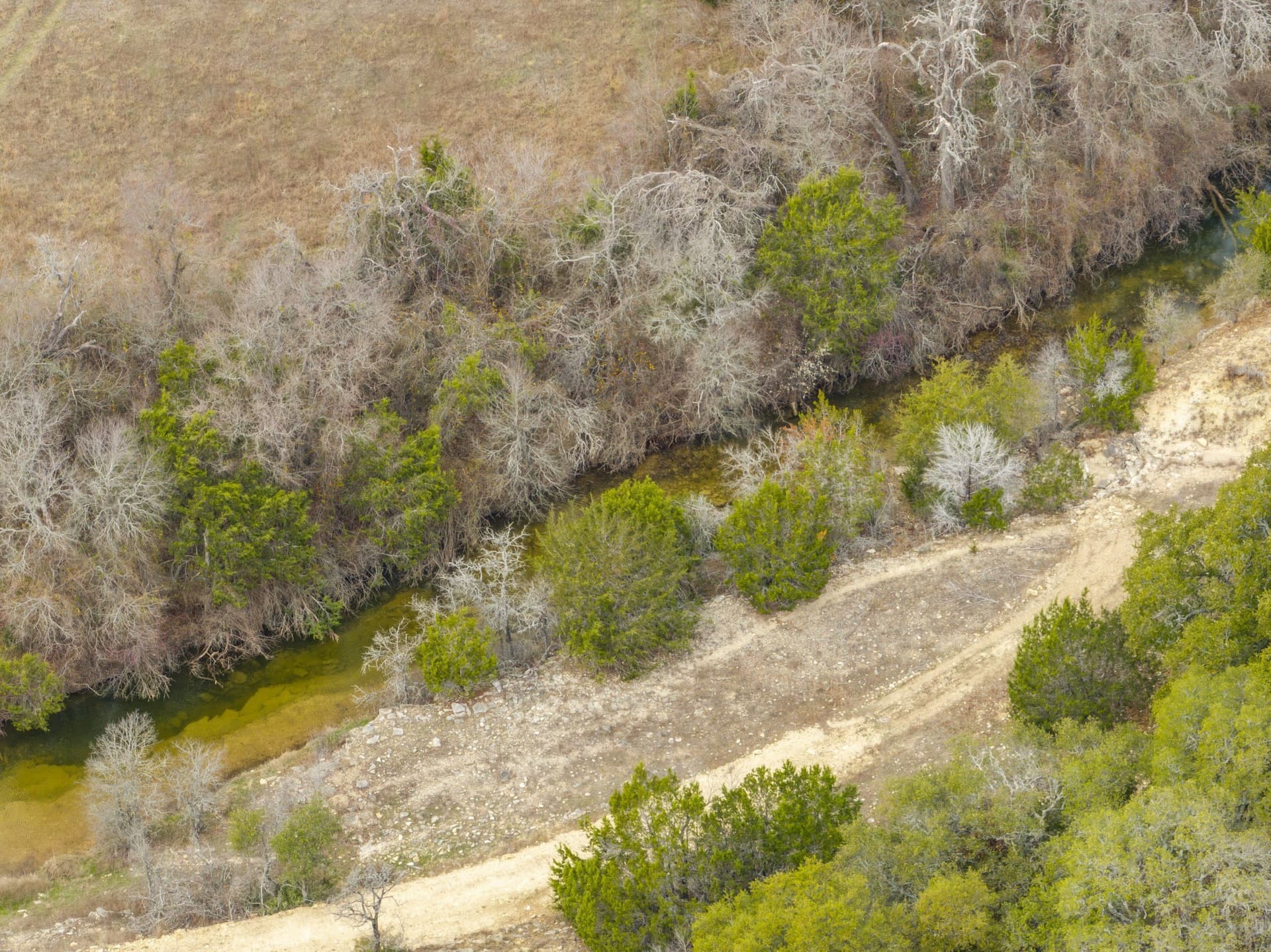 110 acres in Coryell County - photo 7