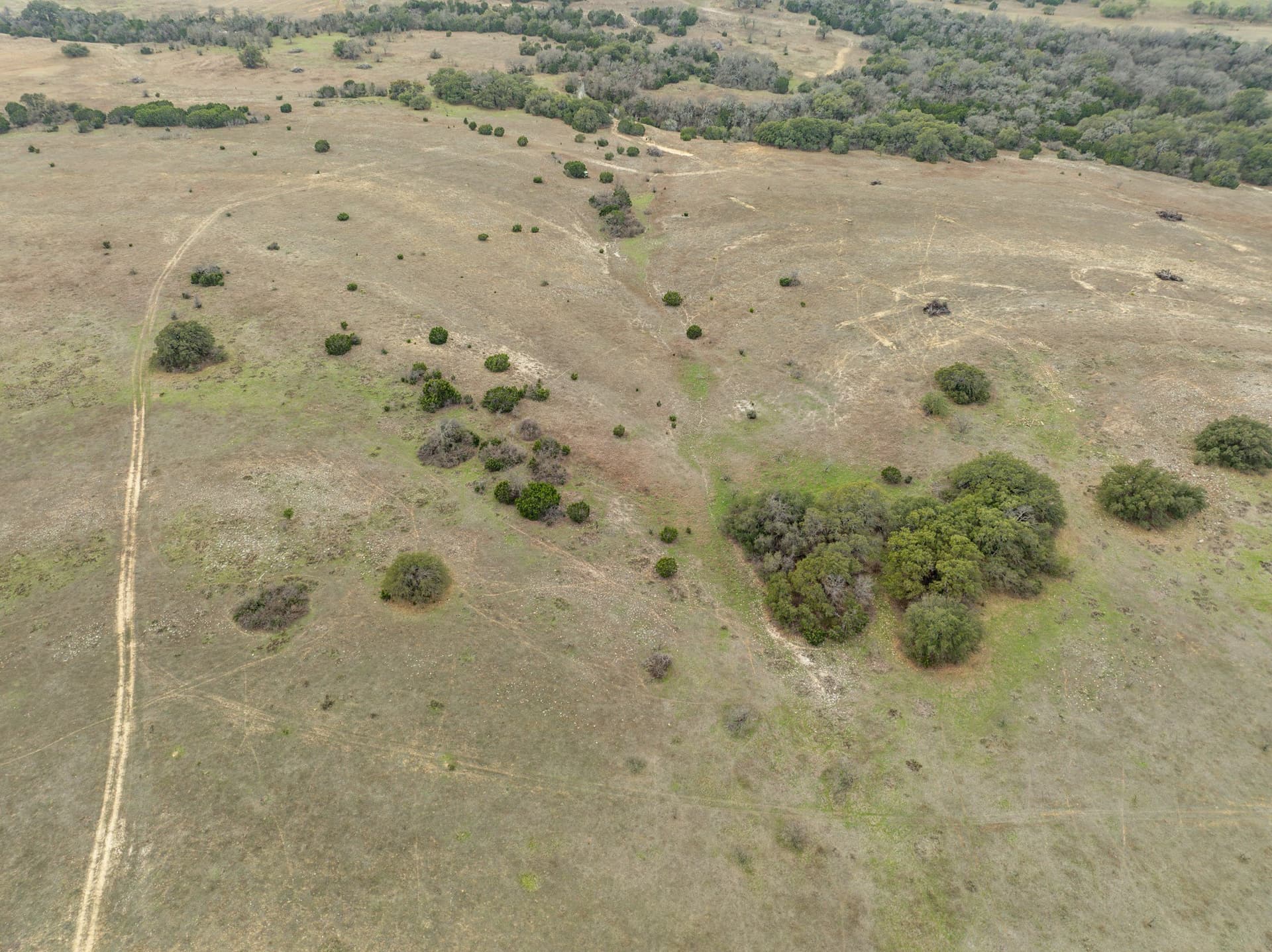 110 acres in Coryell County - photo 19