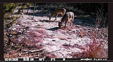 152 acres in Bosque County - photo 40