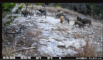 152 acres in Bosque County - photo 39