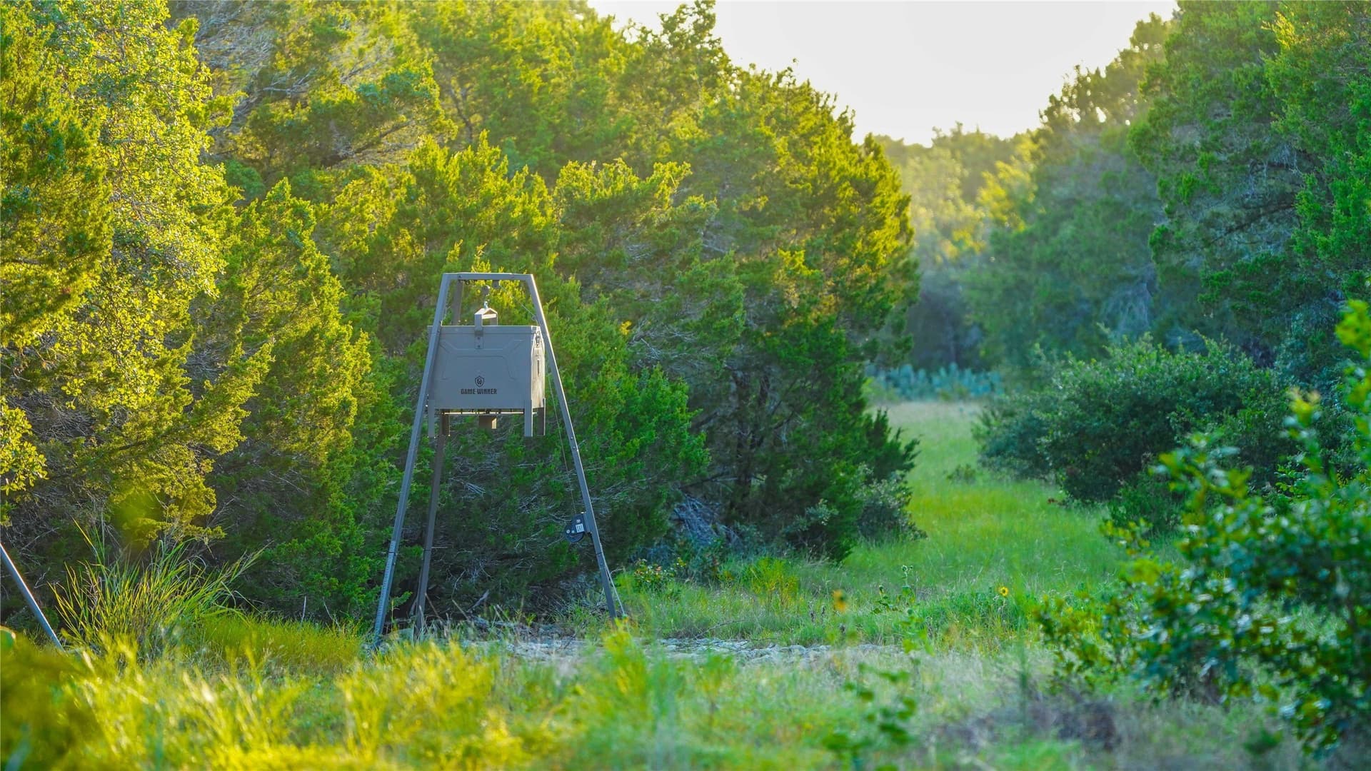 152 acres in Bosque County - photo 10