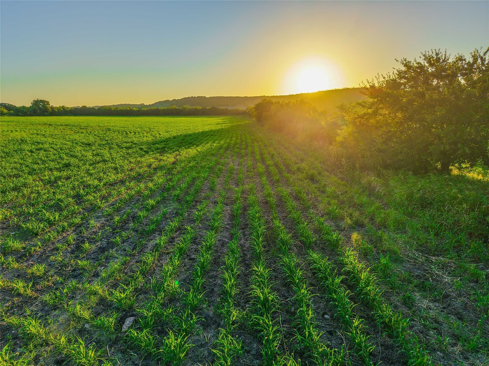 152 acres in Bosque County - photo 7