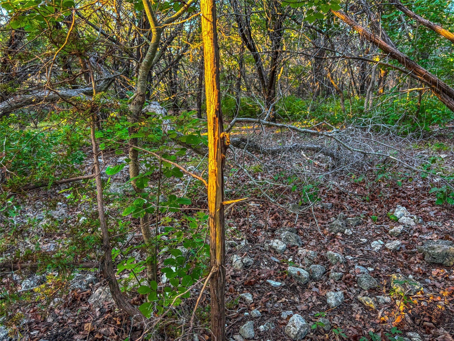 152 acres in Bosque County - photo 19
