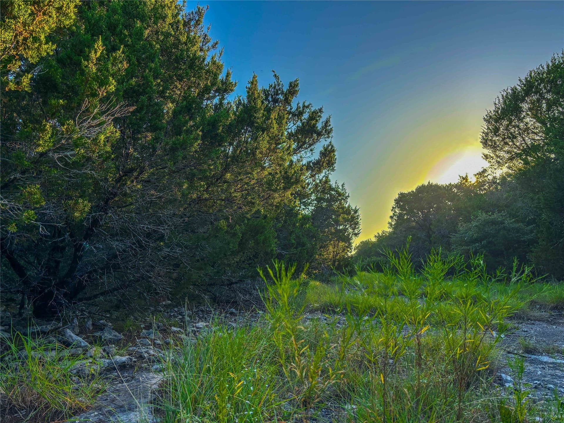 152 acres in Bosque County - photo 21