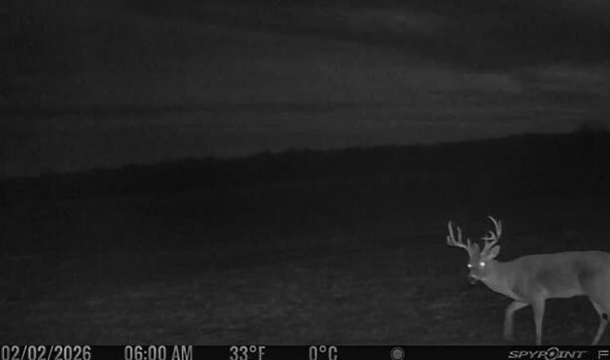 152 acres in Bosque County featured view