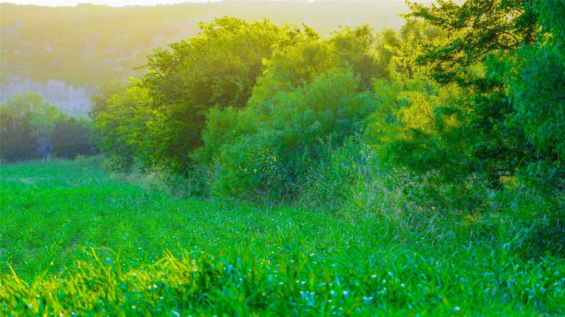 152 acres in Bosque County - photo 16