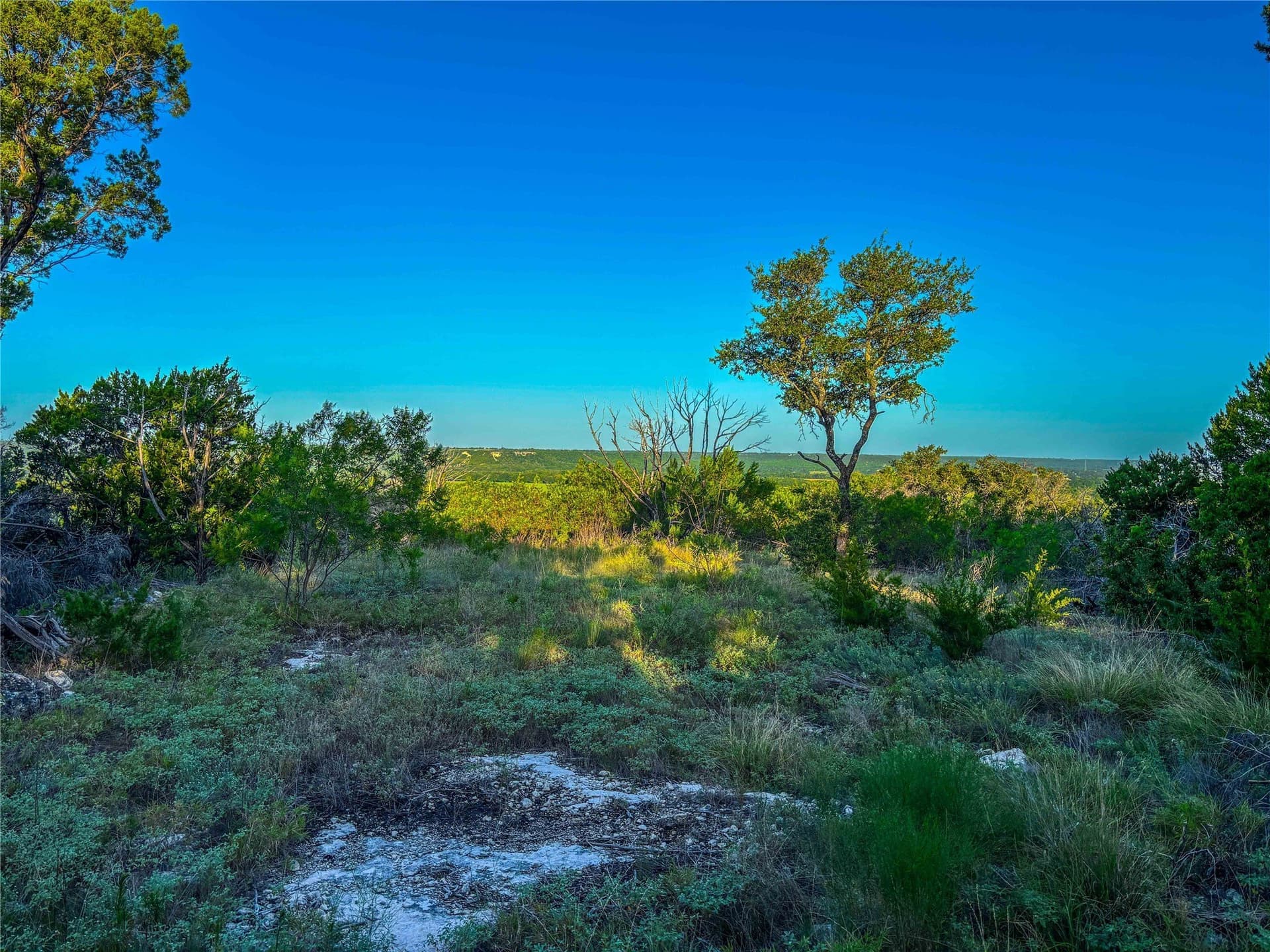 152 acres in Bosque County - photo 22