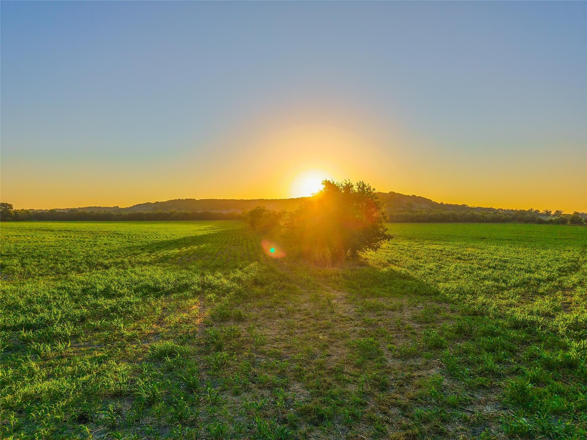 152 acres in Bosque County - photo 11