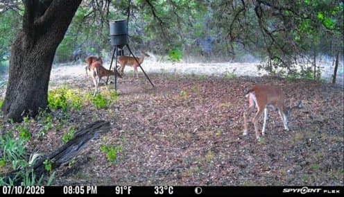 152 acres in Bosque County - photo 6
