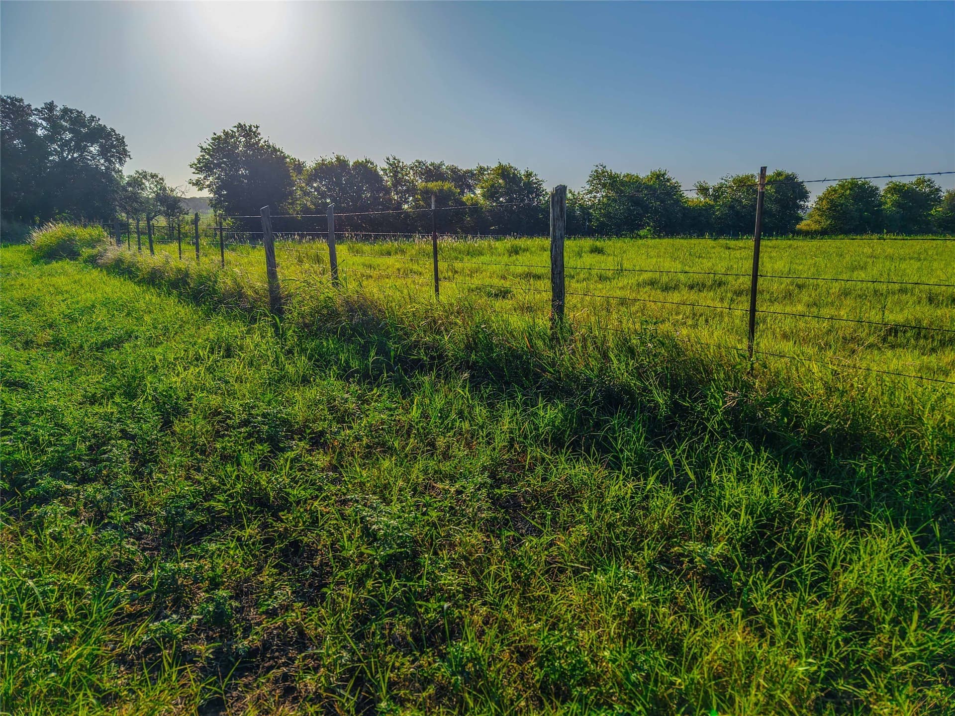 152 acres in Bosque County - photo 24