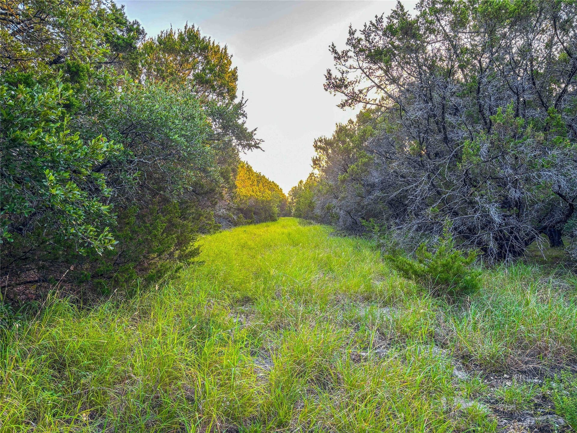 152 acres in Bosque County - photo 17
