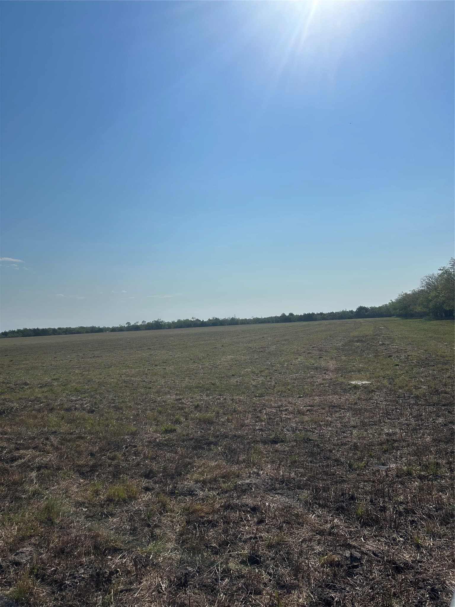 10 acres in Kaufman County gallery image 4