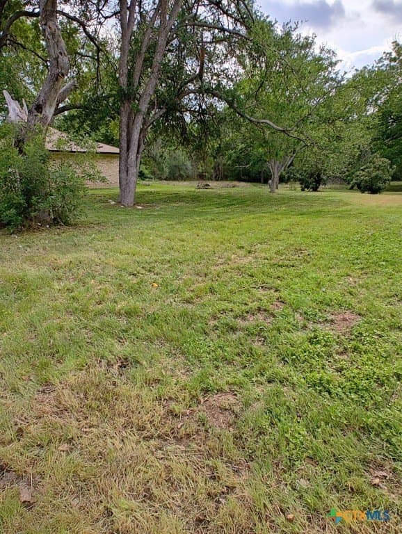 0.24 acres in Travis County gallery image 4