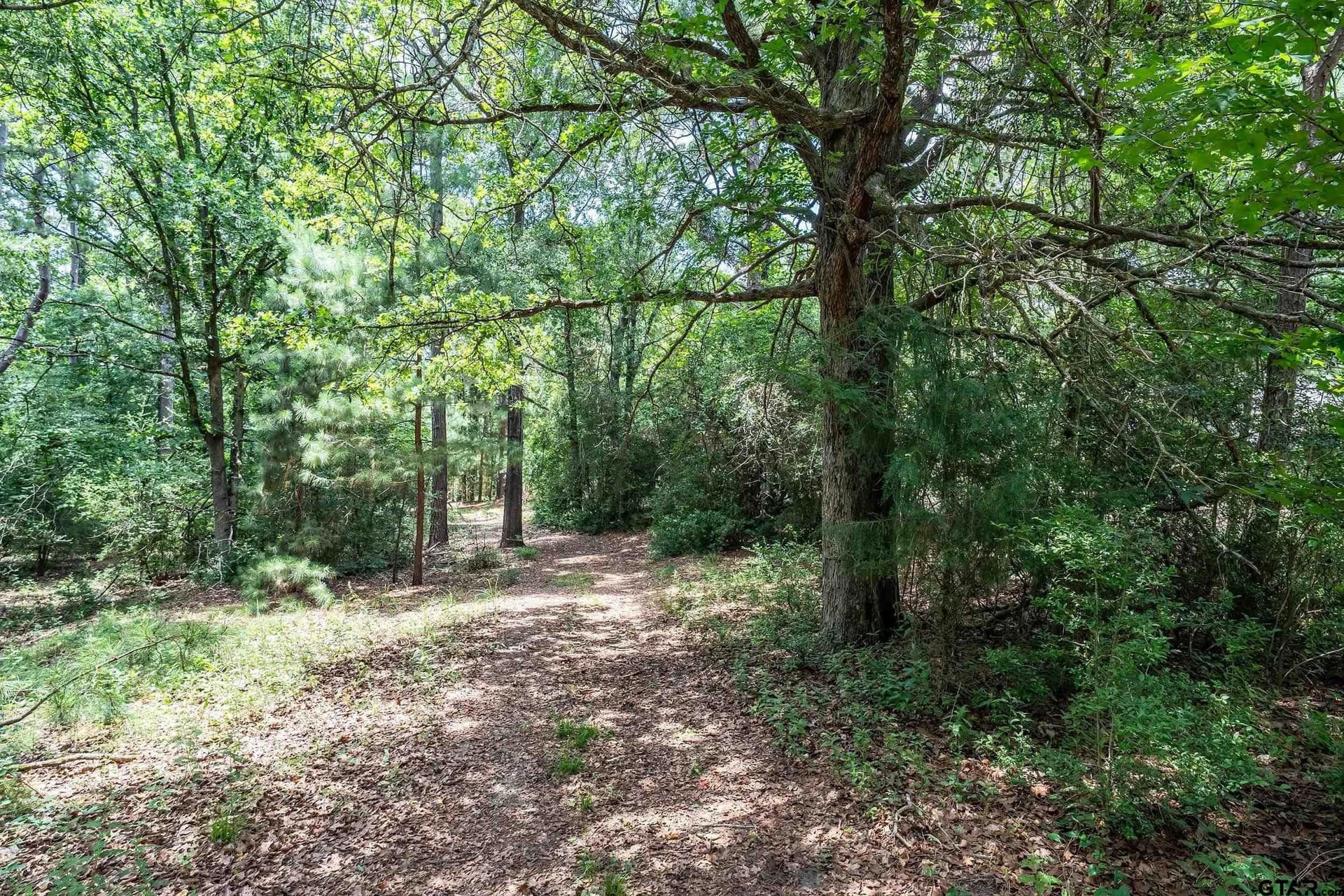 1.43 acres in Wood County featured view