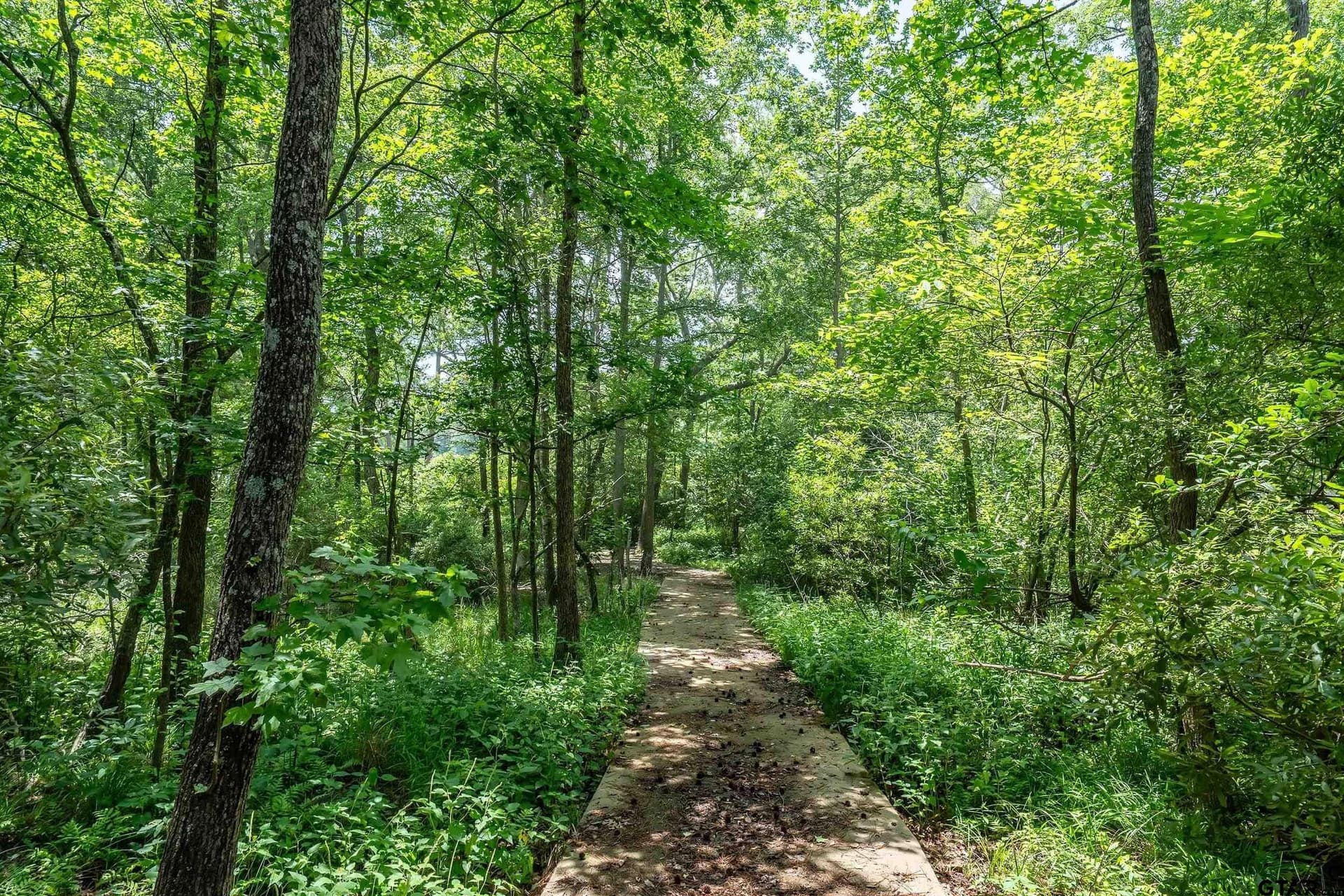 1.43 acres in Wood County gallery image 3