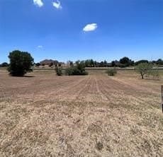 0.52 acres in Dallas County - photo 2