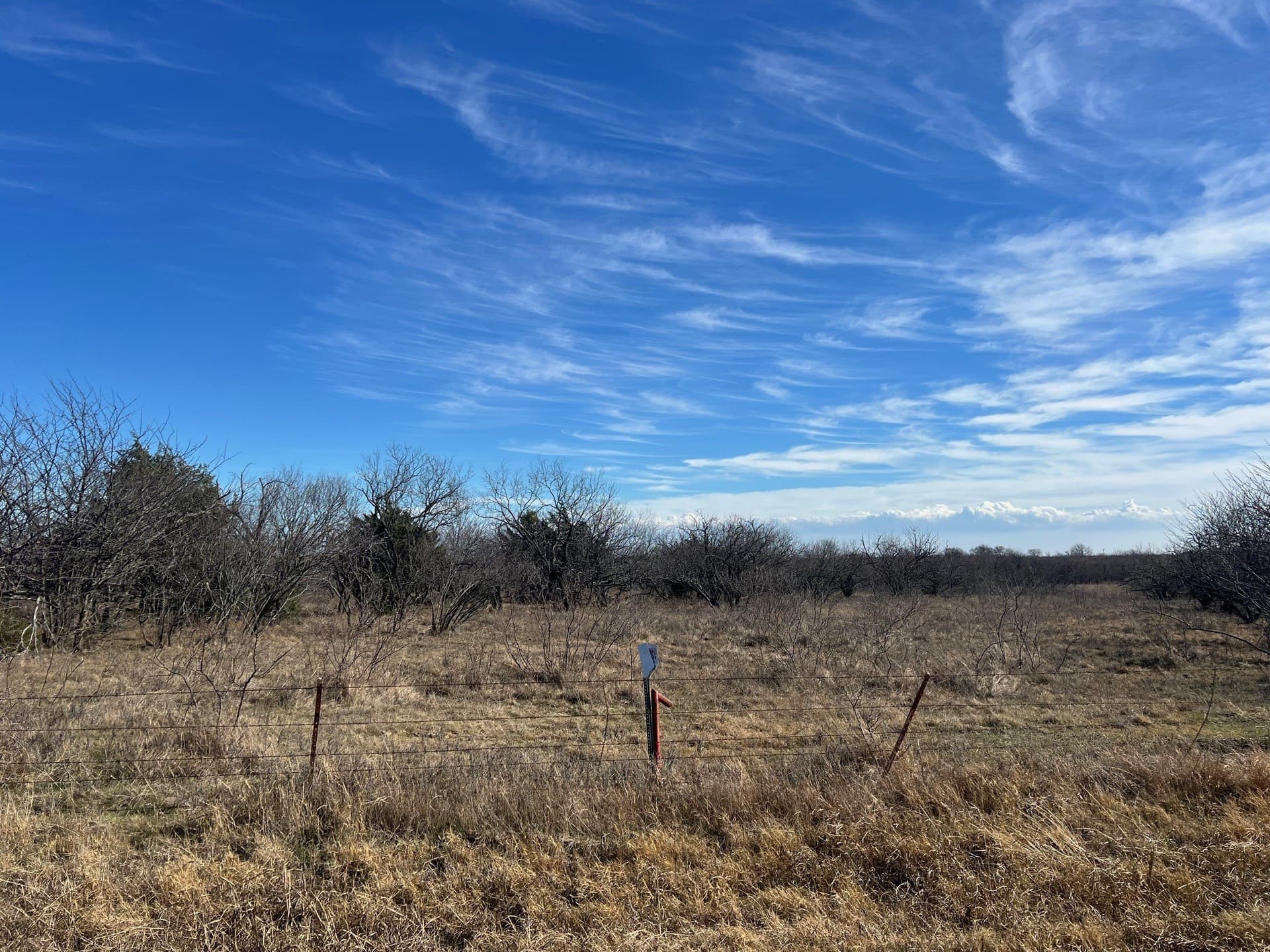 30.32 acres in Grayson County - photo 14