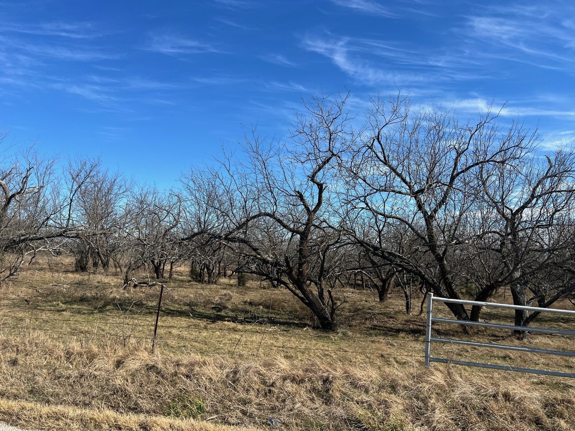 30.32 acres in Grayson County - photo 15