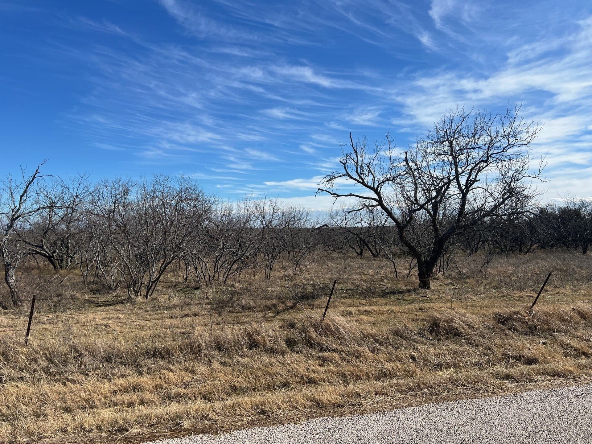 30.32 acres in Grayson County - photo 13
