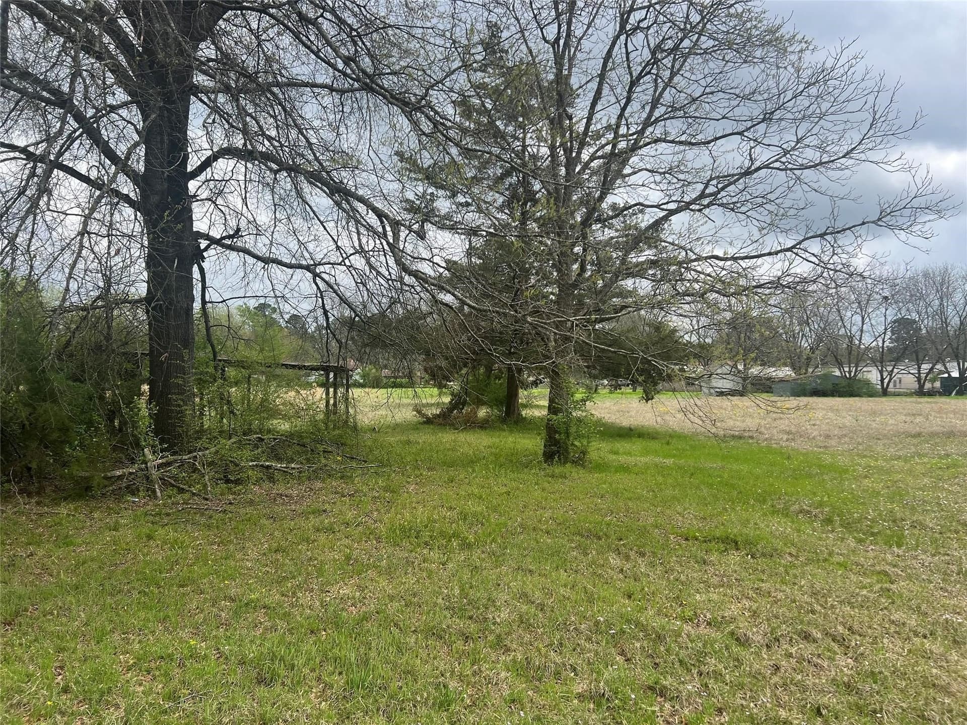 9.9 acres in Bowie County gallery image 4