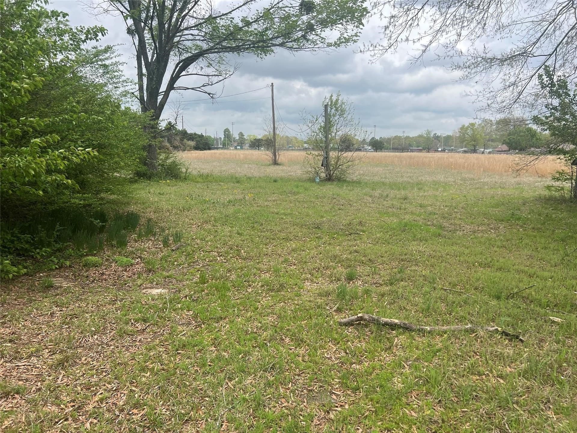 9.9 acres in Bowie County featured view