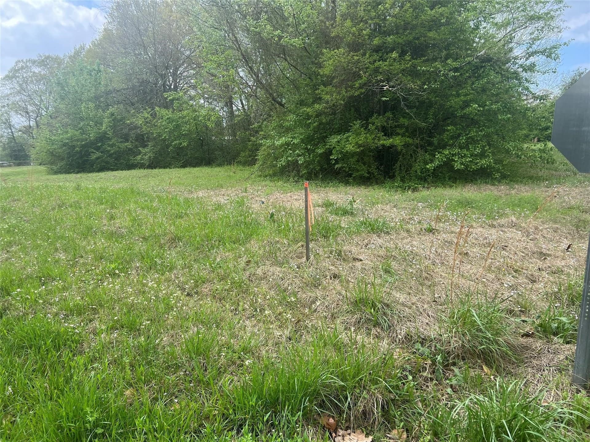 9.9 acres in Bowie County gallery image 3