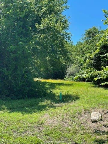 0.14 acres in Brazos County gallery image 2