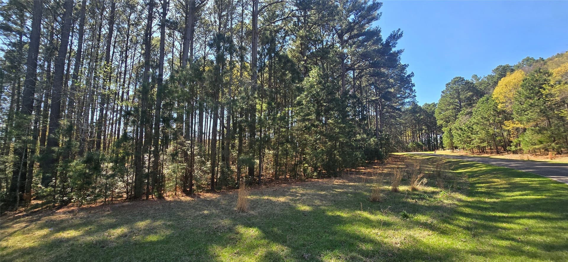 2.02 acres in Henderson County - photo 12