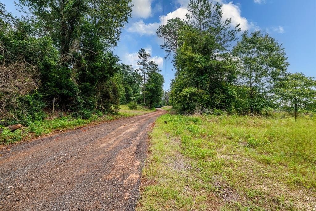14.12 acres in Texas County featured view